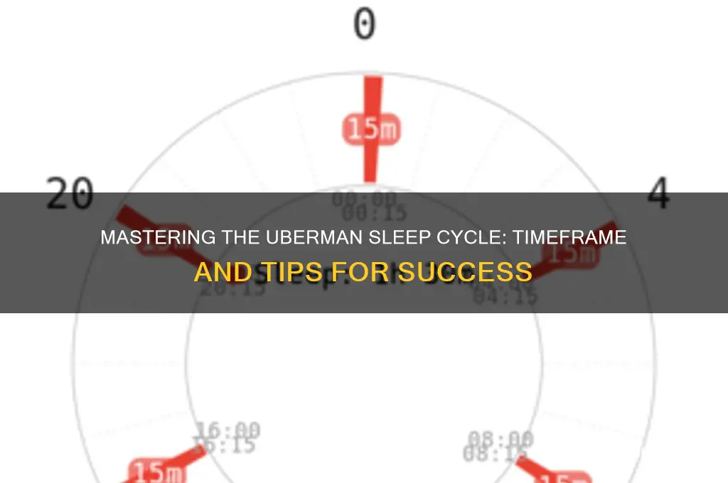 how long to get into an uberman sleep cycle