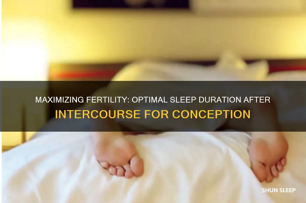 how long to sleep after intercourse to get pregnant