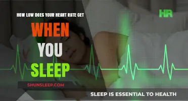Understanding Sleep: How Low Can Your Heart Rate Drop at Night?