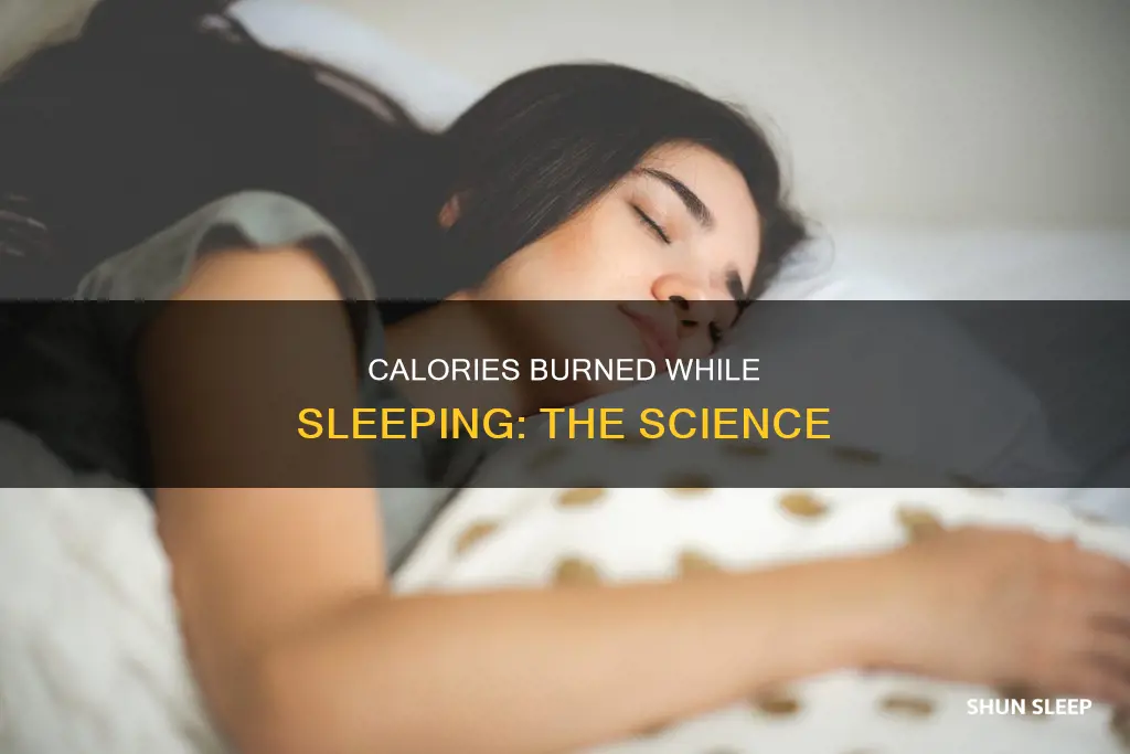 how m an calories does a person use when sleeping