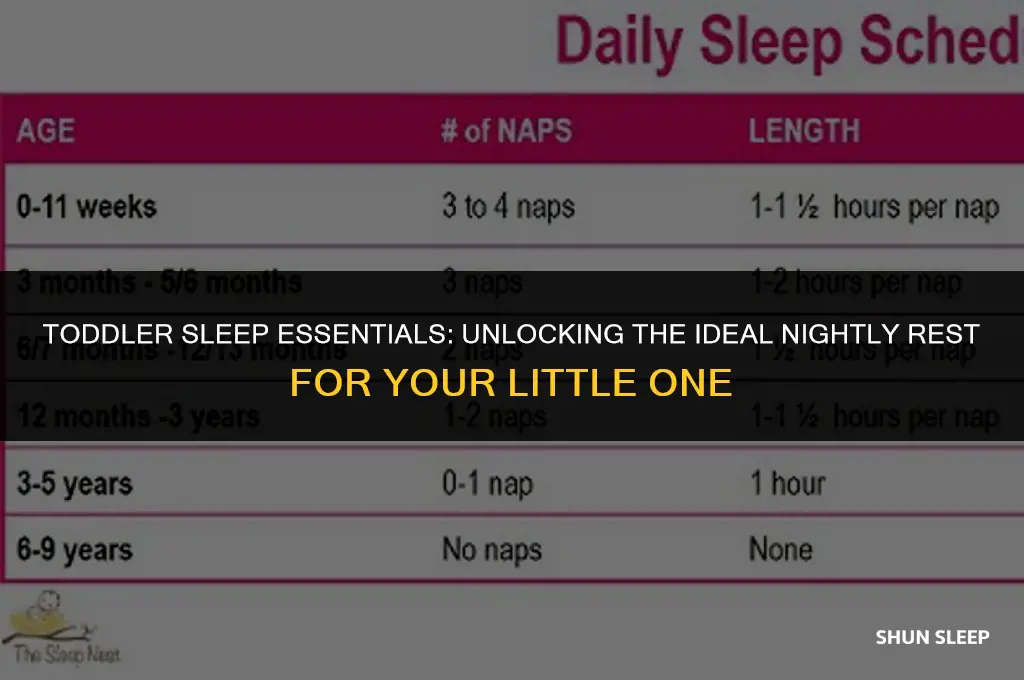 how man hours a night should my toddler sleep