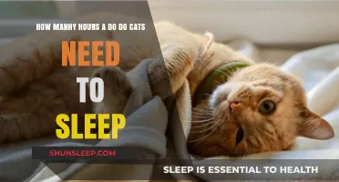 Understanding Feline Slumber: How Many Hours Do Cats Need to Sleep?