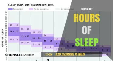 Unlocking Productivity: The Ideal Sleep Duration for Peak Performance