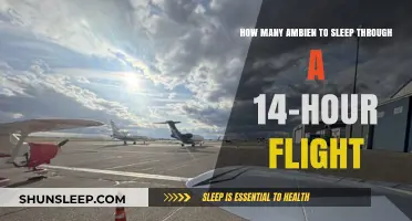 Mastering Long-Haul Flights: The Ultimate Guide to Restful Sleep