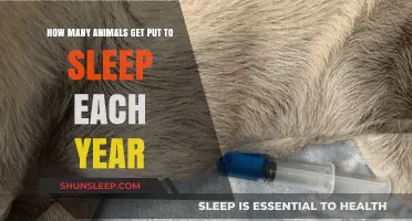 The Heartbreaking Reality: Annual Euthanasia Rates of Animals Revealed