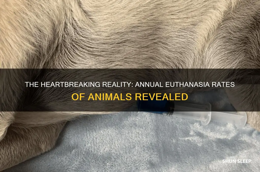how many animals get put to sleep each year