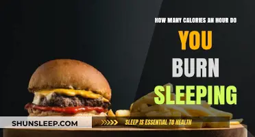 Unveiling the Truth: Calorie Burn During Sleep Explained