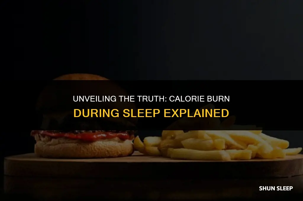 how many calories an hour do you burn sleeping