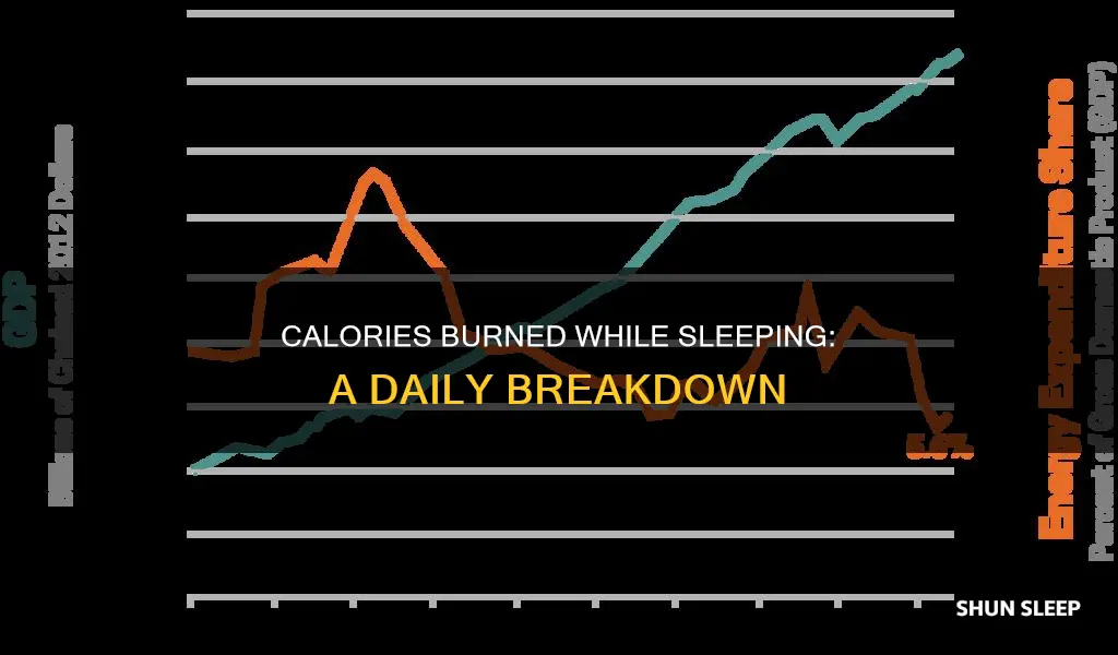 how many calories are consumed per day een when sleeping