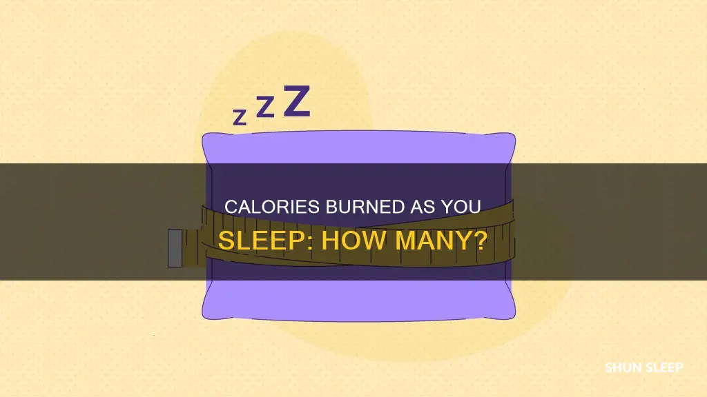 how many calories are used during sleep
