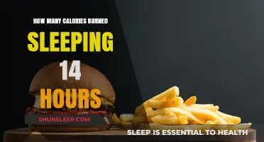 Maximizing Rest: The Surprising Calorie Burn of a 14-Hour Sleep