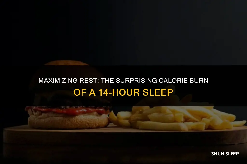 how many calories burned sleeping 14 hours