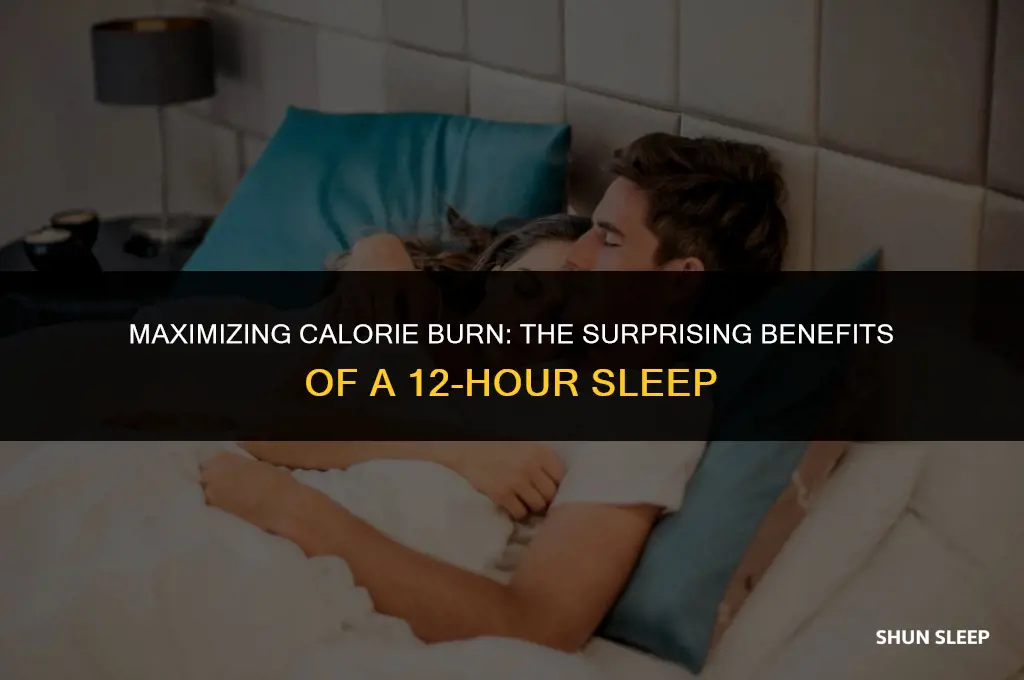 how many calories can you burn sleeping 12 hours