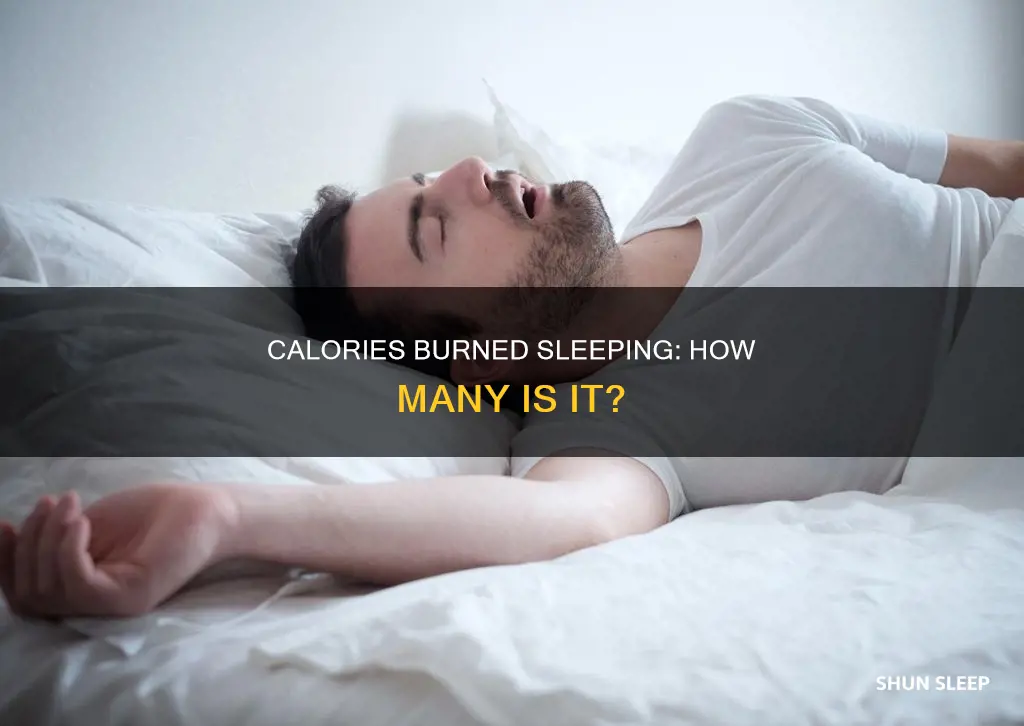 how many calories do i burn a day sleeping