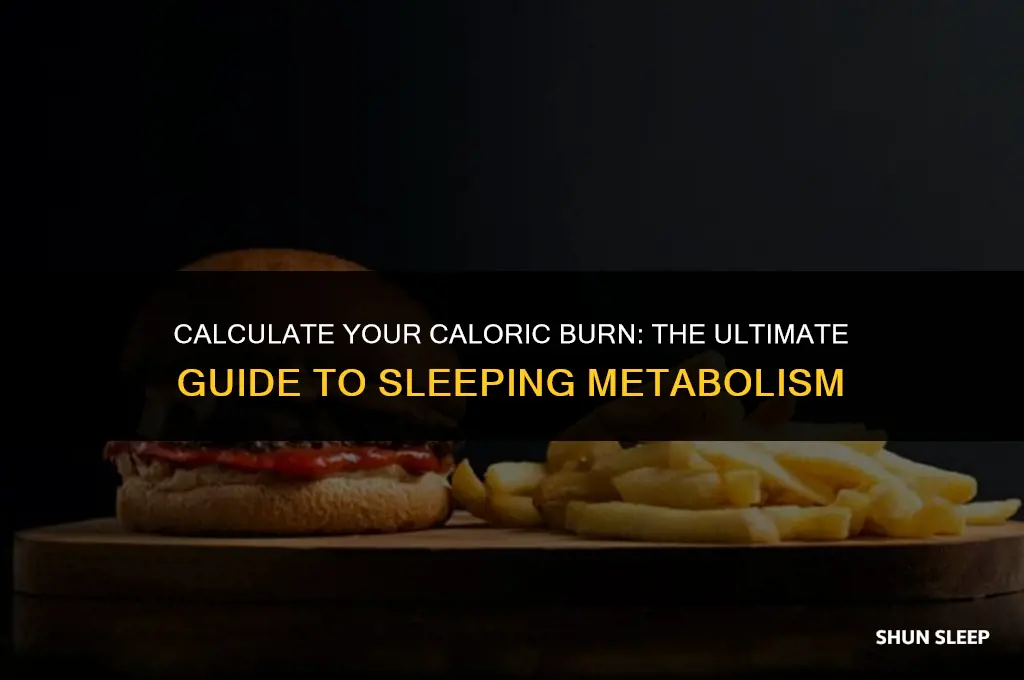 how many calories do i burn sleeping per hour calculator
