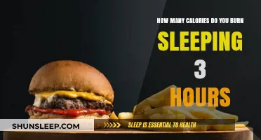 Unveiling the Caloric Burn: A Deep Dive into 3-Hour Sleep