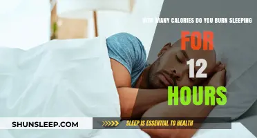 Unveiling the Truth: Calories Burned During a 12-Hour Slumber