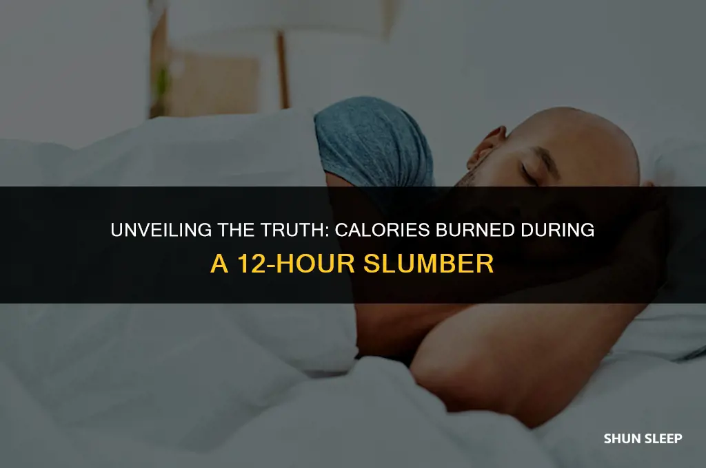 how many calories do you burn sleeping for 12 hours