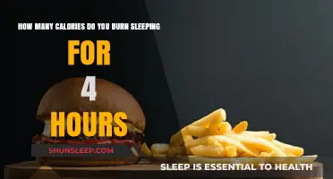 Unveiling the Truth: Calories Burned During a 4-Hour Slumber