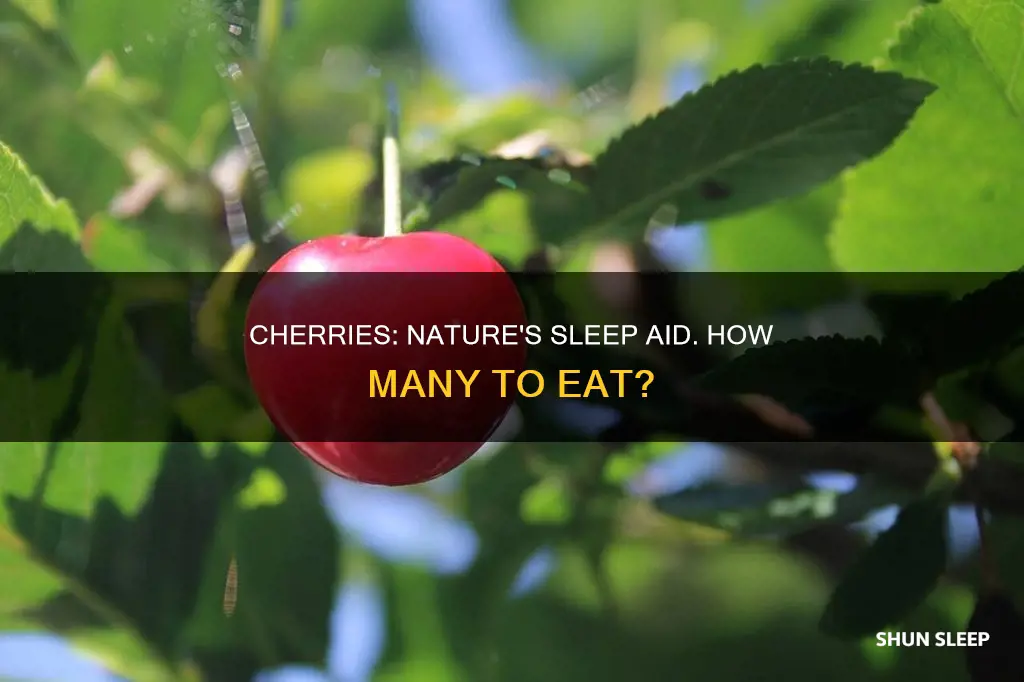 how many cherries do i need to eat to sleep