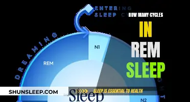 Exploring the Number of Cycles in REM Sleep