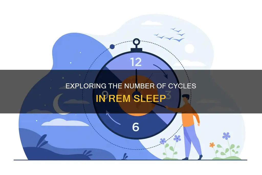 how many cycles in rem sleep