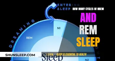 Understanding Sleep Cycles: NREM and REM Phases Explained