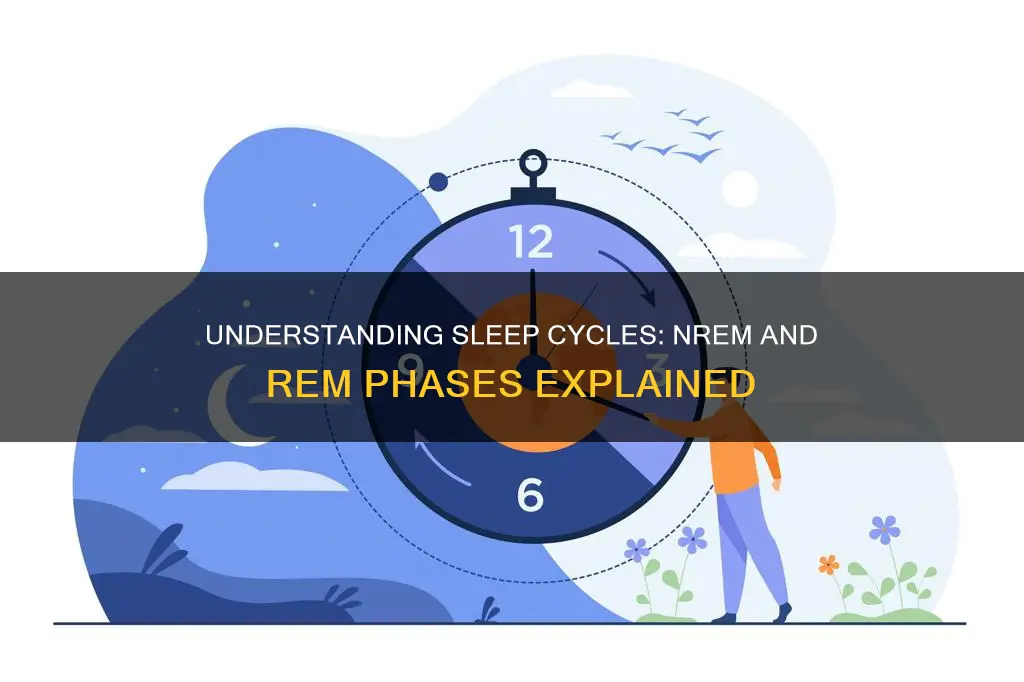 how many cycles of nrem and rem sleep