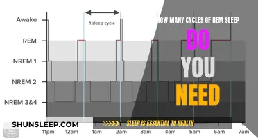Understanding the Ideal Number of REM Cycles