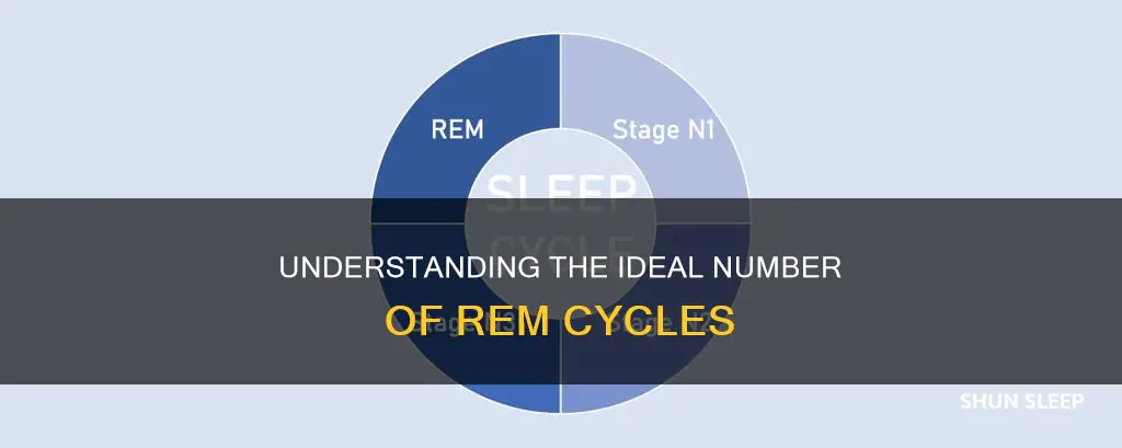 how many cycles of rem sleep do you need