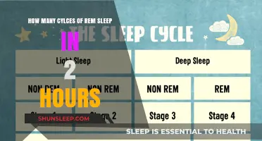 Unlocking the Mysteries of REM Sleep: A Journey Through Dreams