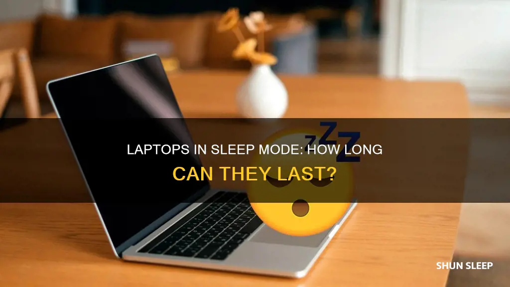 how many days can a laptop stay in sleep