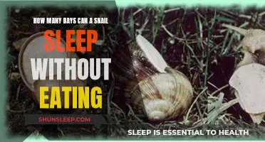 Snails' Sleep: How Long Can They Go Without Eating?