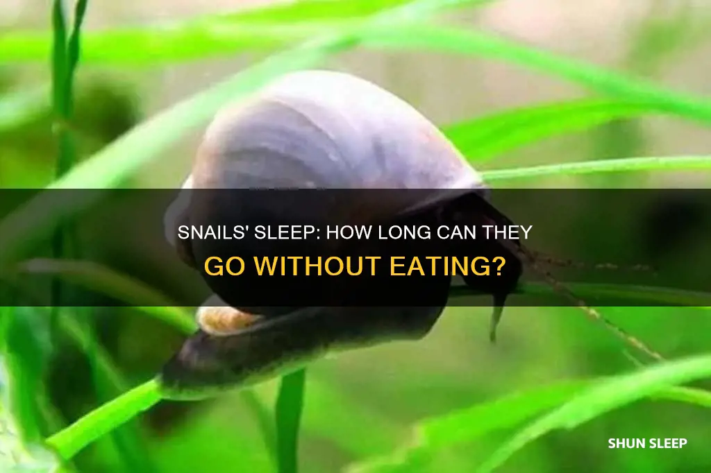 how many days can a snail sleep without eating
