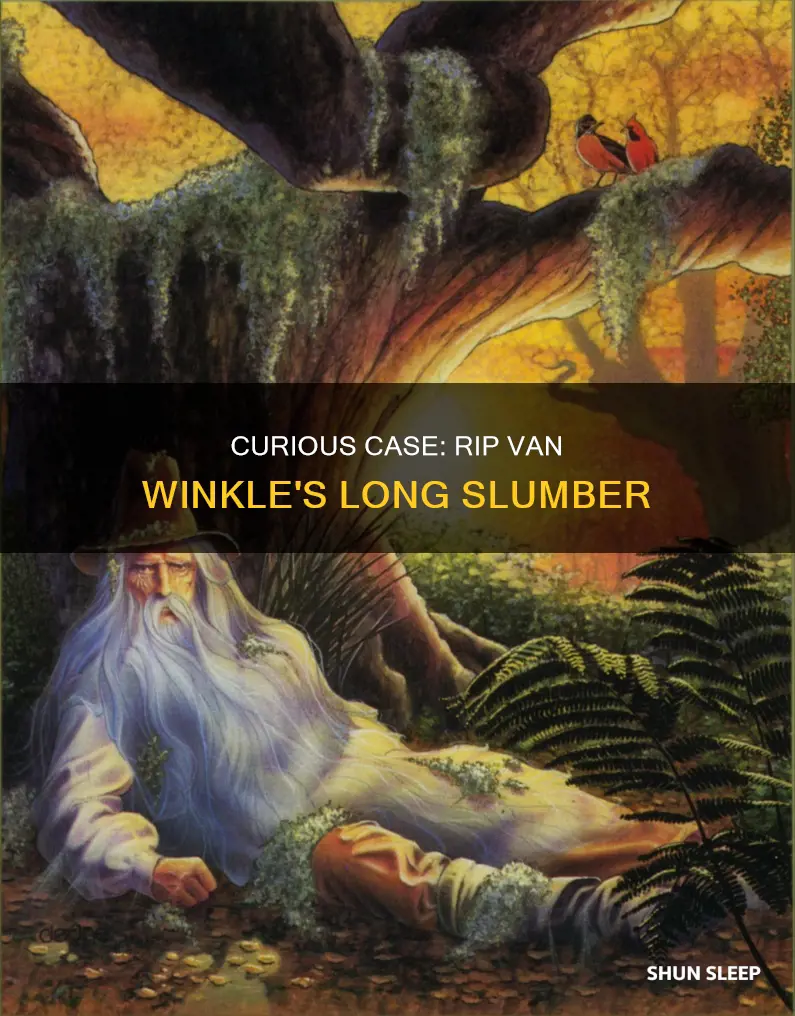 how many days did rip van winkle sleep for