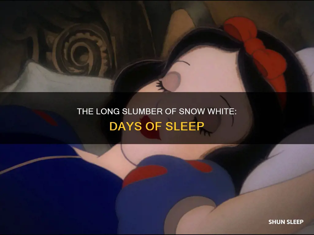 how many days did snow white sleep