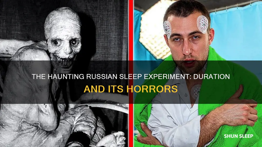 how many days was the russian sleep experiment