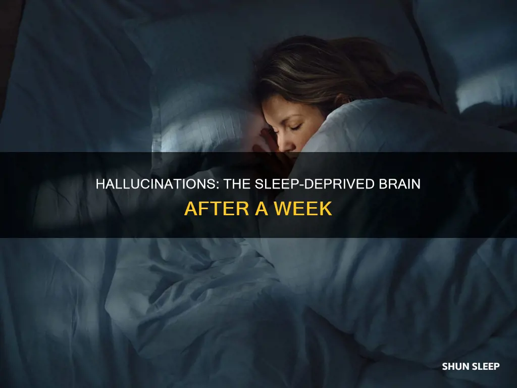 how many days without sleep before hallucinations