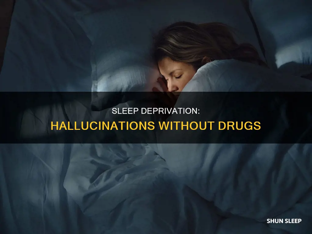 how many days without sleep do you need to hallucinate