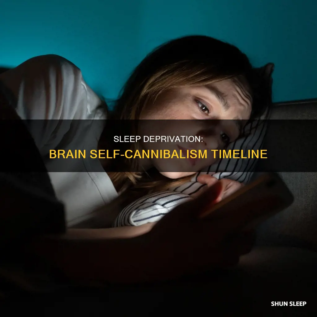 how many days without sleep until your brain eats itself
