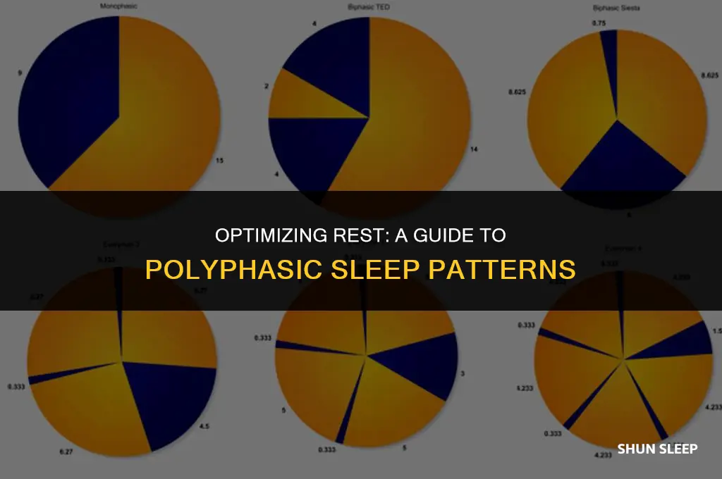 how many different time should you sleep in one 24-hour