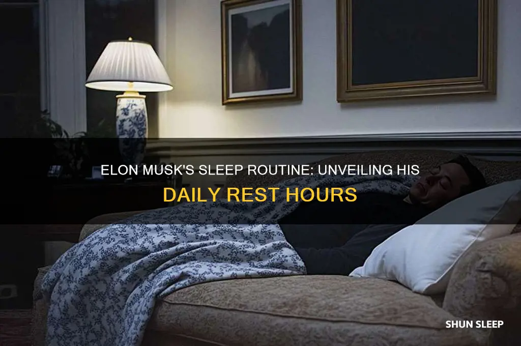 how many hors of sleep does elon musk get