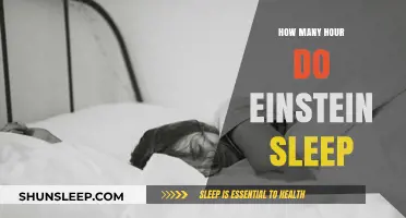 Unraveling the Genius: Einstein's Sleep Habits and Their Impact on His Work