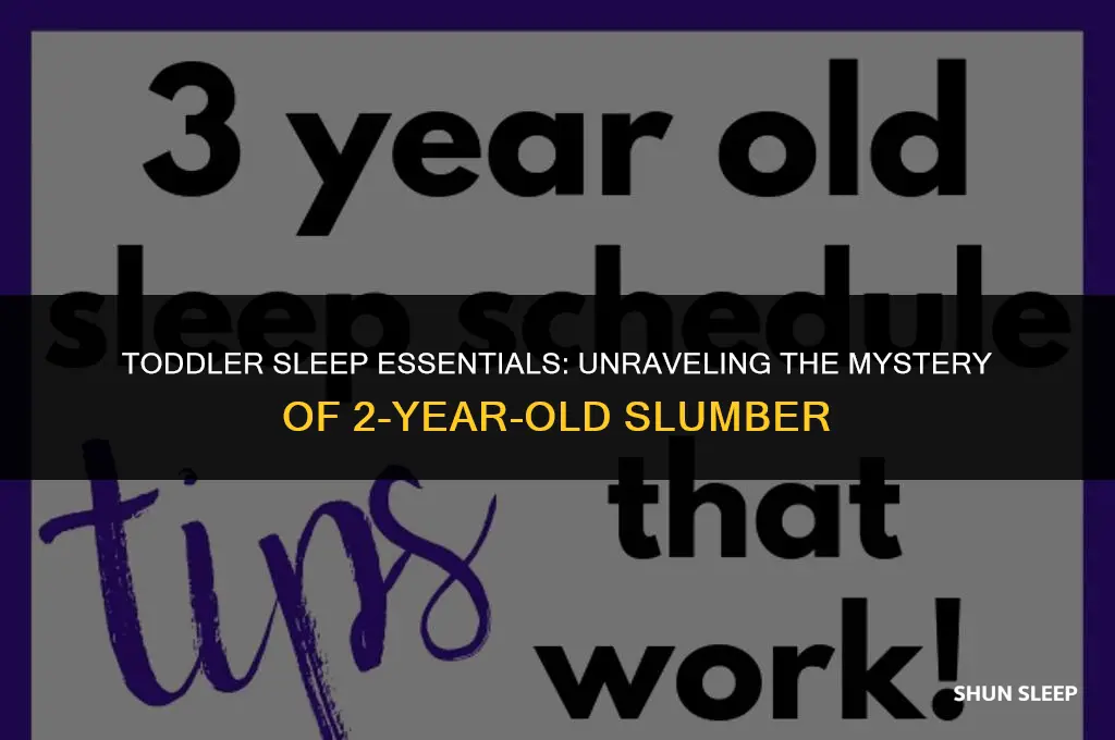 how many hour should a 2 year old sleep