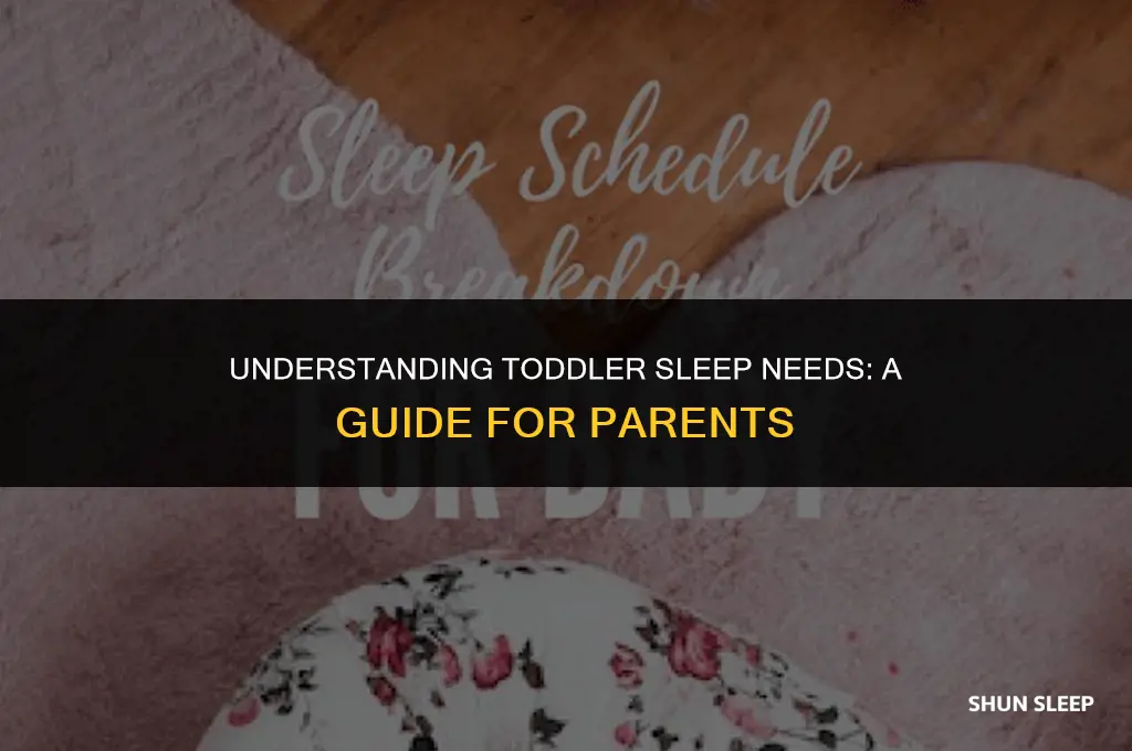 how many hour should a 3 year old sleep