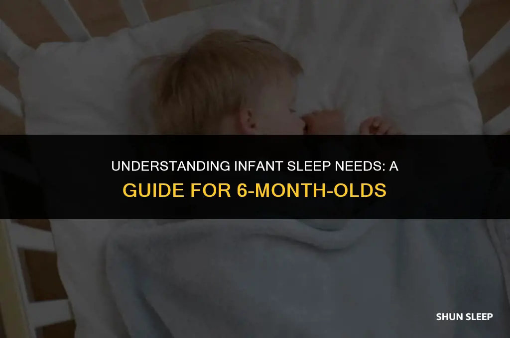 how many hour should a 6 month old baby sleep
