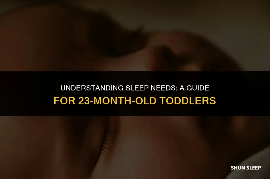 how many hour sleep 23 month old