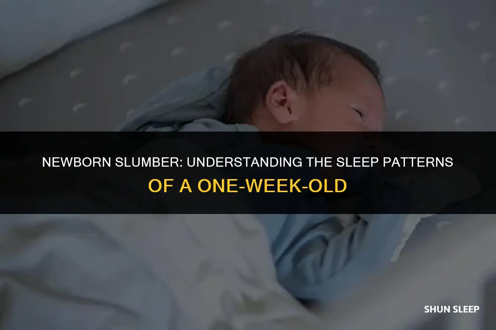 how many hours 1 week old sleep