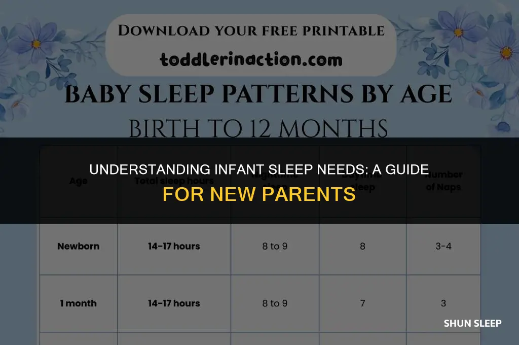 how many hours 1 year old should sleep