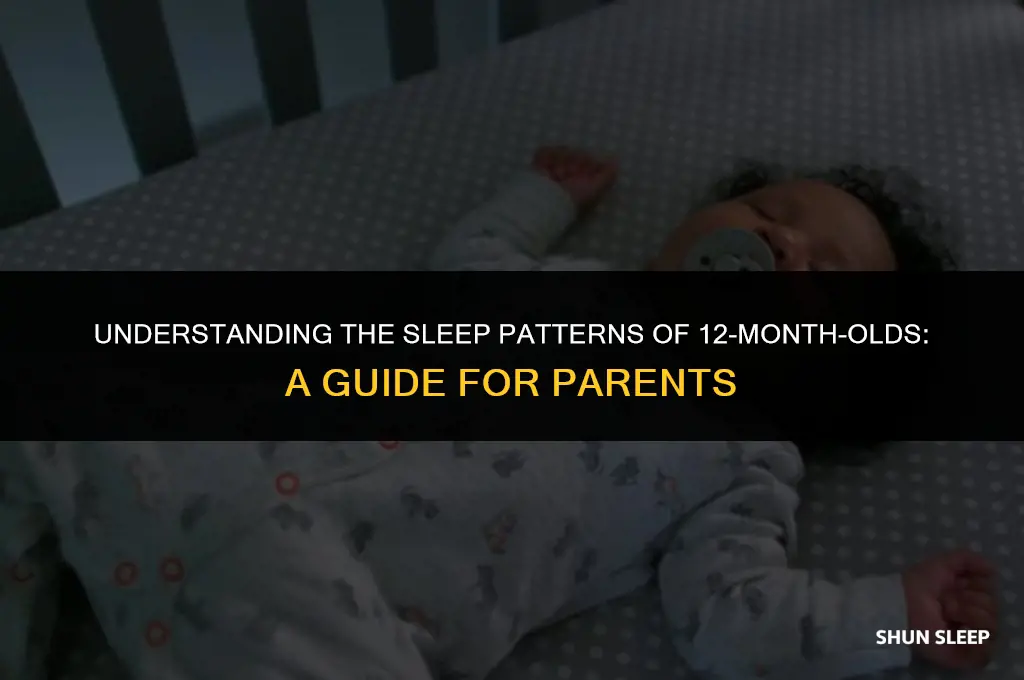 how many hours 12 month old sleep